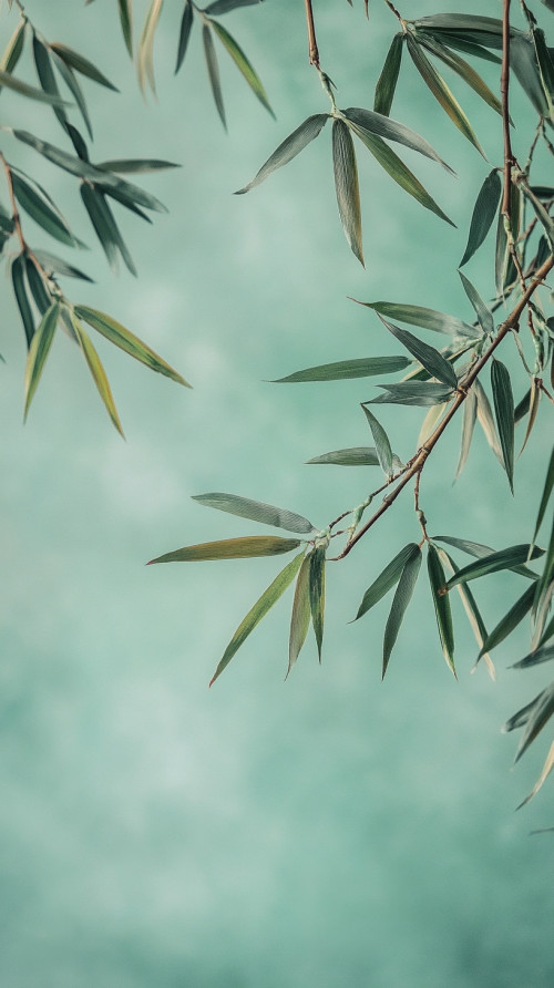 1 bamboo branch on a hazy blue sky