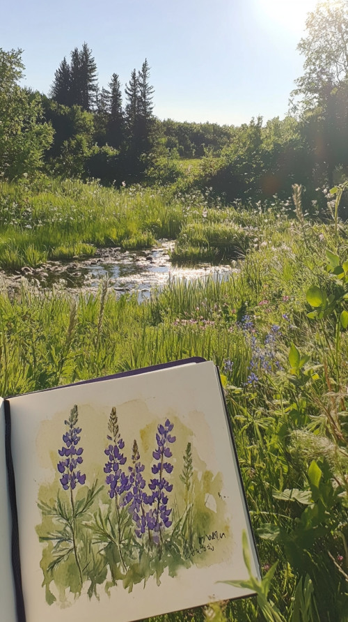 Someone opened a photo sketchbook in the sunny forest